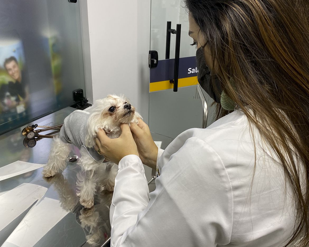Clínica Veterinária Pet Park Higienópolis 5