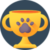 Dog Play